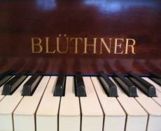 Bluthner pianos, one of Germany's top makers